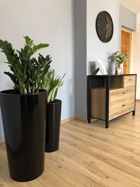 Mieszkanie/Apartament 100 m2