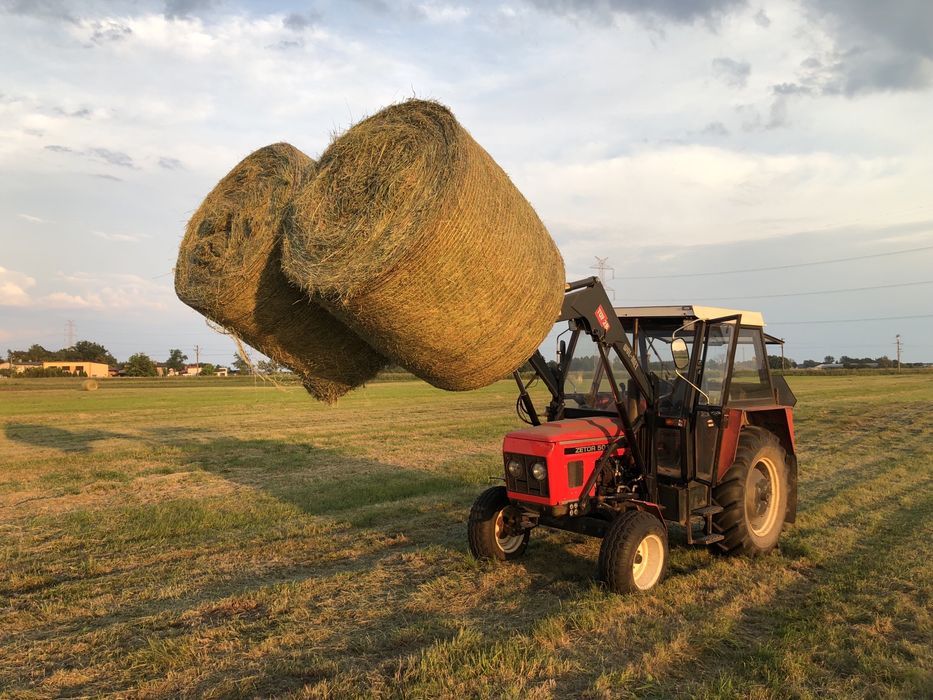 Siano 2025 w belach 120 x 120 baloty balot bela bele 110 szt