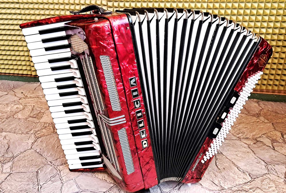 akordeon Delicia Choral XIV 120B po serwisie w Dom Akordeonu