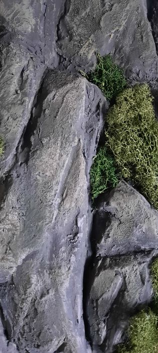 Картина интерьерная скала, мох, горы.