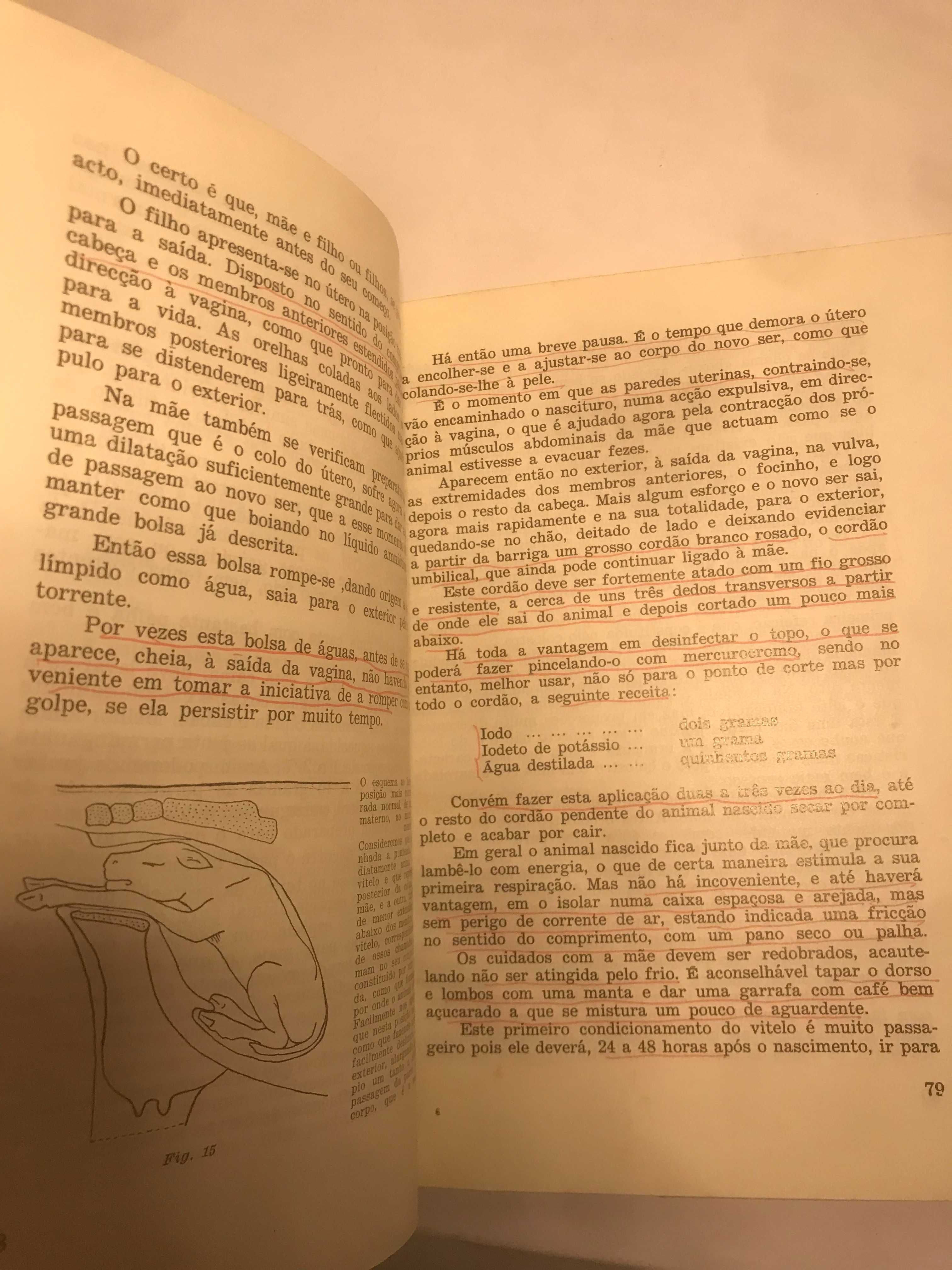 O criador e o seu animal : Manual prático