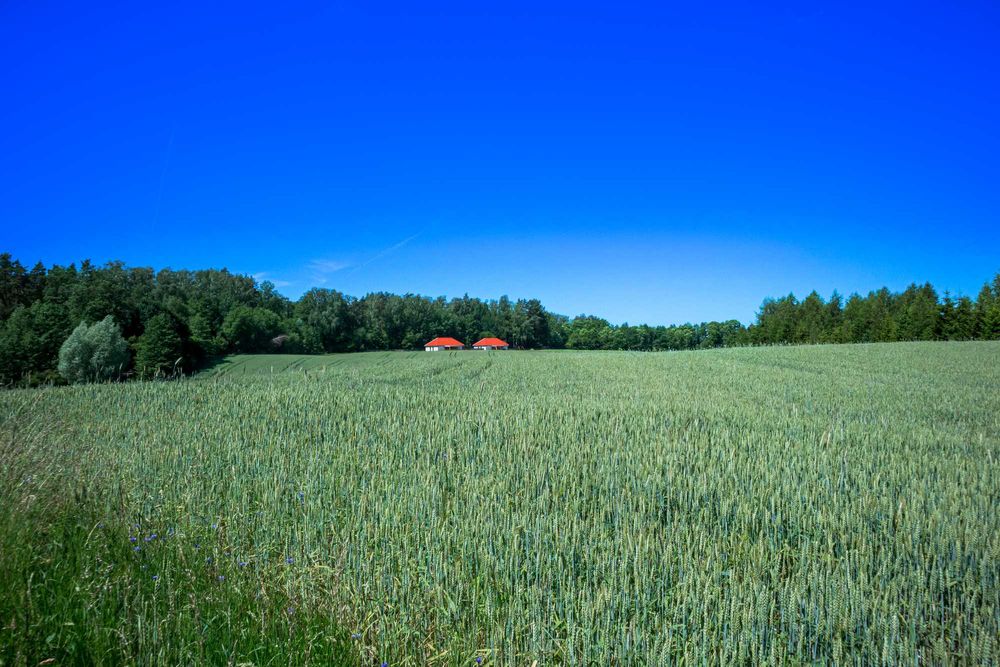 Domek na mazurach dwa apartamenty Wilk Zając 6-12 osó