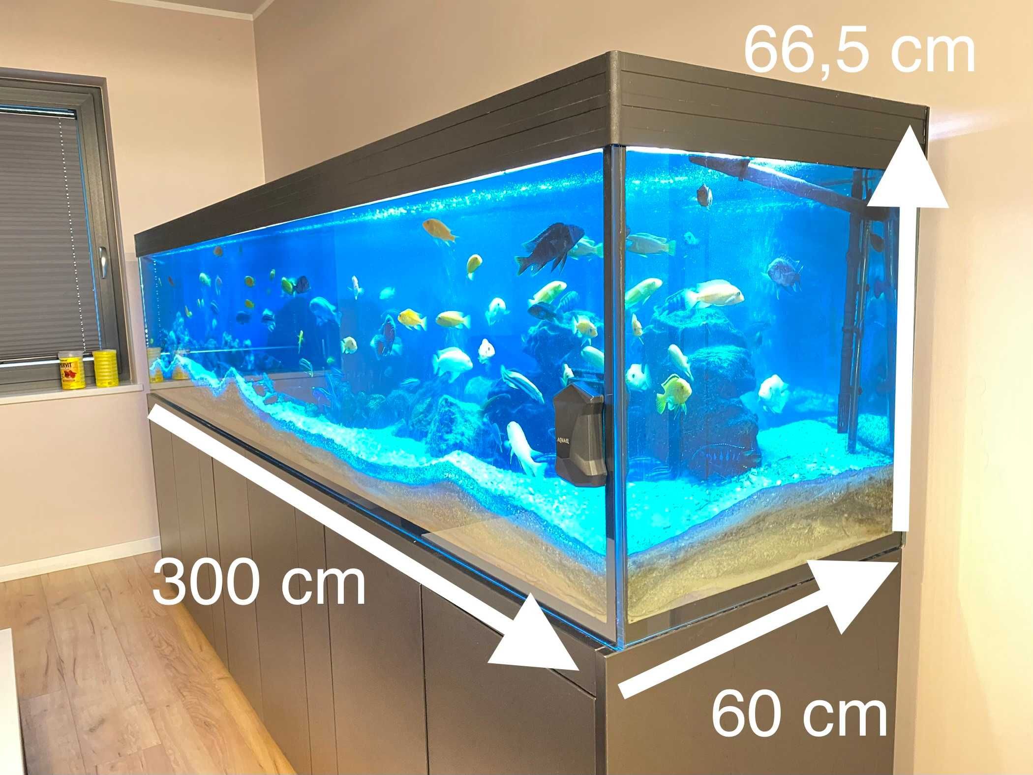 Akwarium ponad 1000 L cały zestaw, filtr, ryby