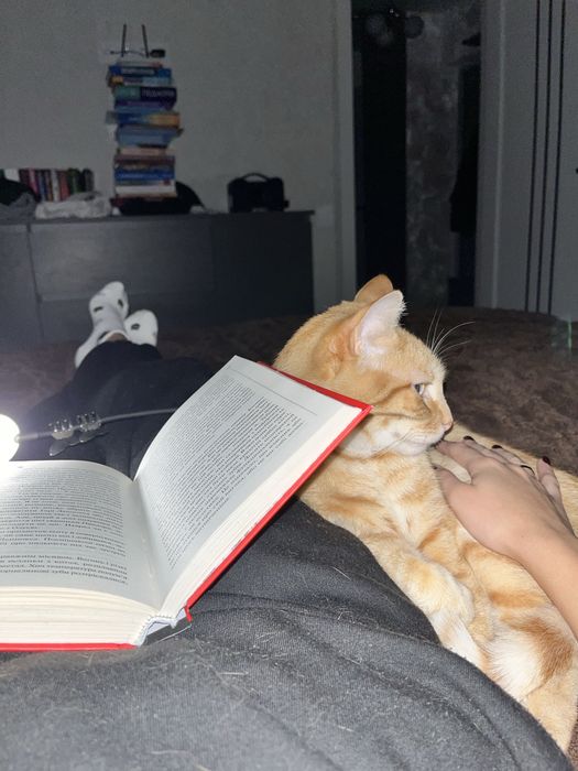 Маркусик шукає родину!!!