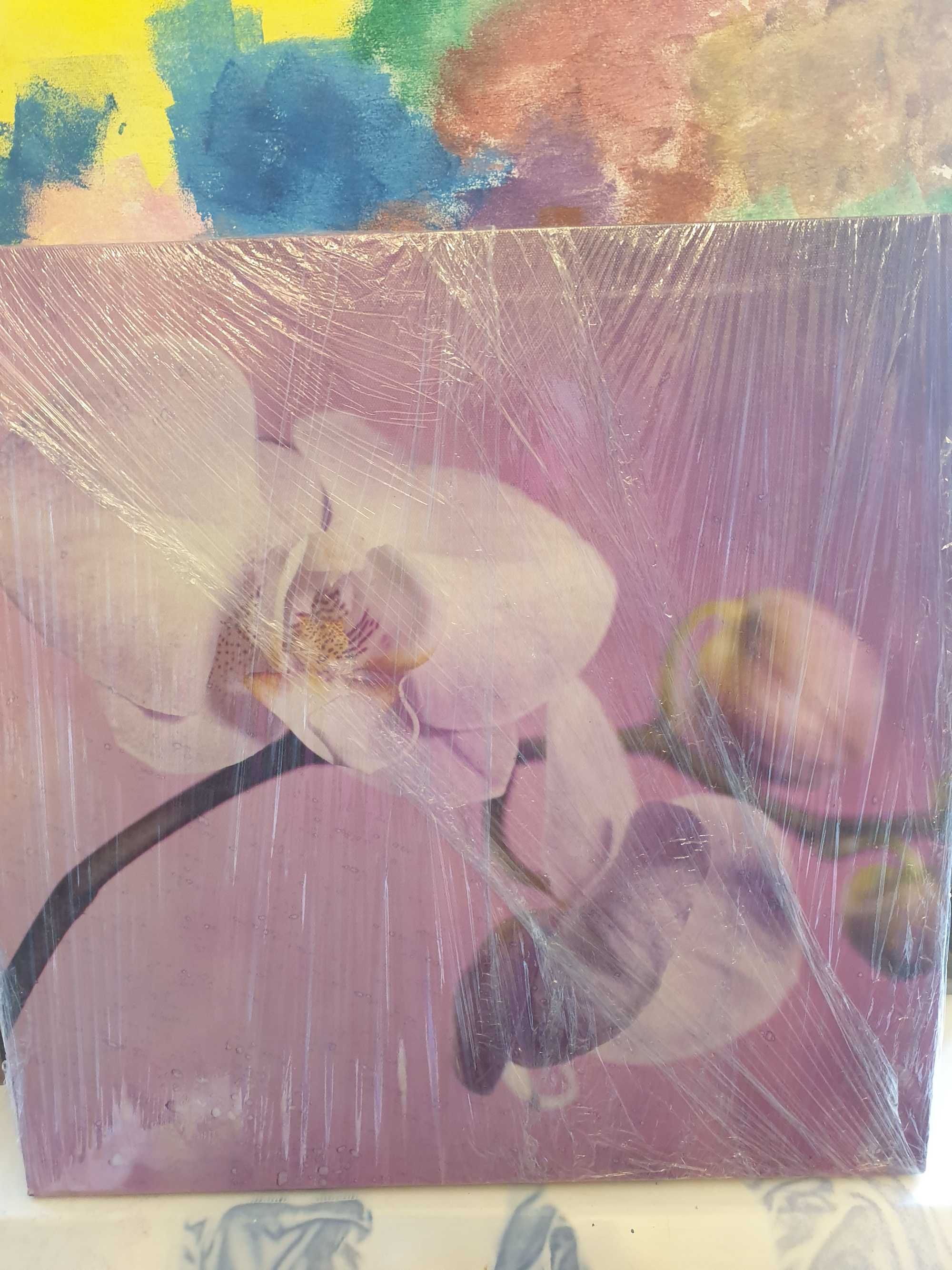 obraz fioletowy kwiat 40x40 cm