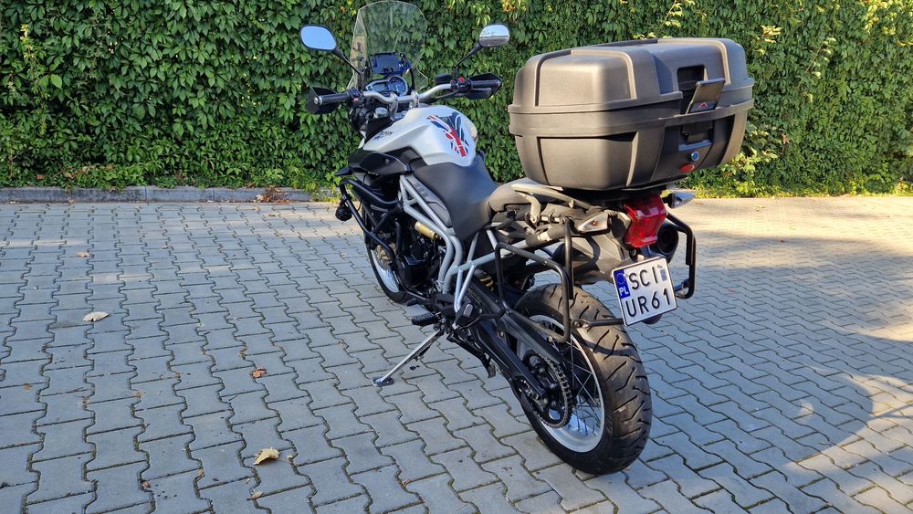 Sprzedam mojego triumpha tigera
