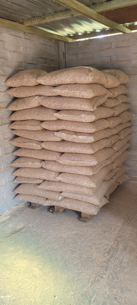 Pelet pellet 6mm