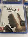 Gra Dying Light 2