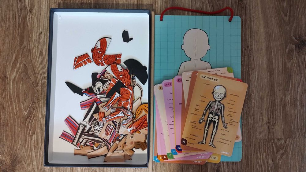 Janod ciało człowieka układanka magnetyczna