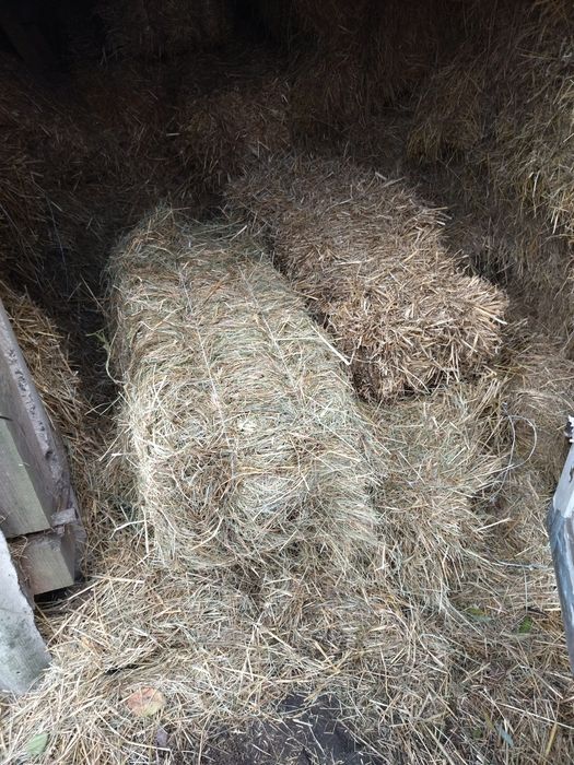 Продам тюки сіна і соломи за детальною інформацією звертайтесь за номе