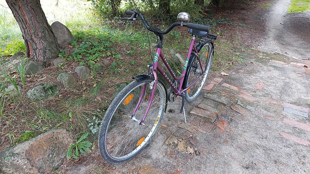 Rower Miejski Damski Express Hirty Eight 3 biegi Torpedo Damka 28