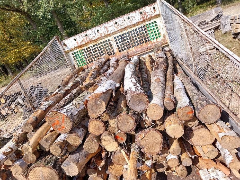 Drewno kominkowe opalowe rozpalkowe najtaniej