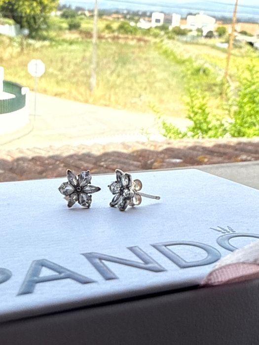 Brincos de Senhora Pandora