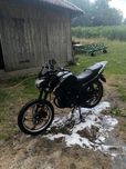 Мустанг Регіон 200