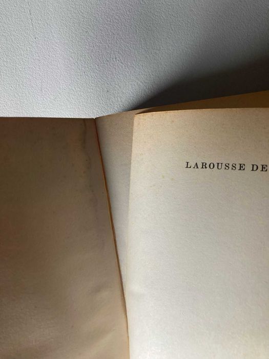 Dicionário Francês Larousse de Poche