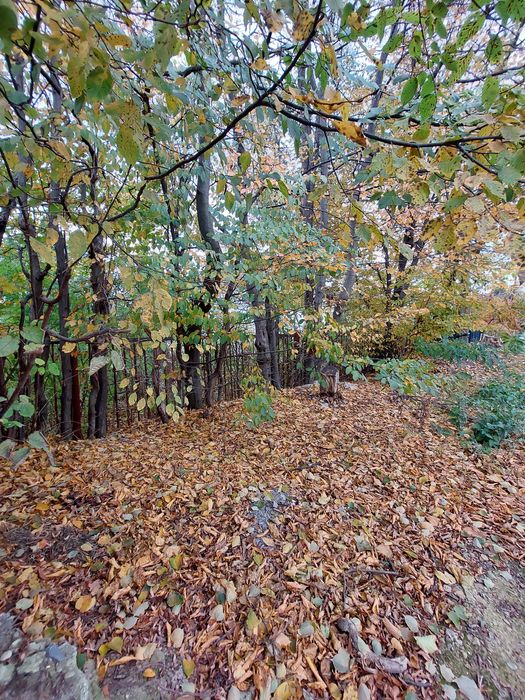 Продаж земельної ділянки вул. Крушельницької м Трускавець