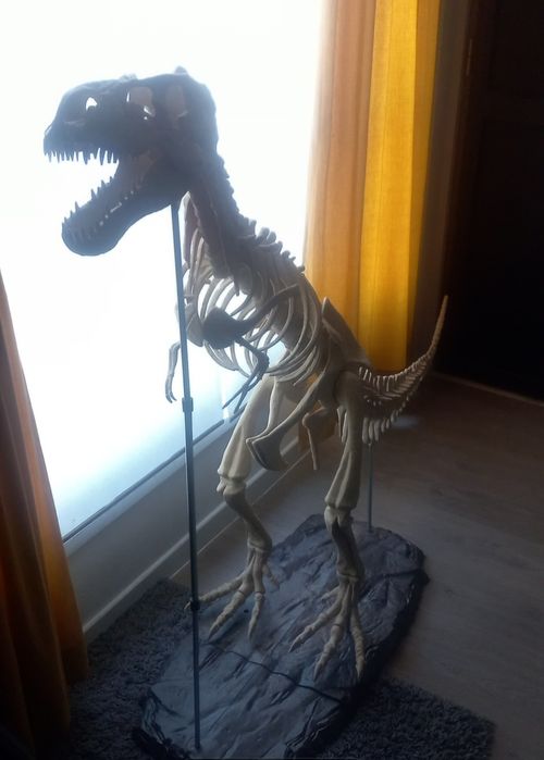 Dinossauro 1.20 altura