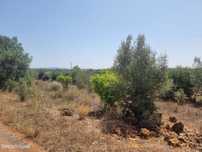 Excelente Terreno no Algarve em Silves