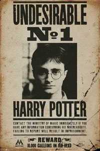 Plakat HARRY POTTER - Undesirable n11 A1 Obraz A1