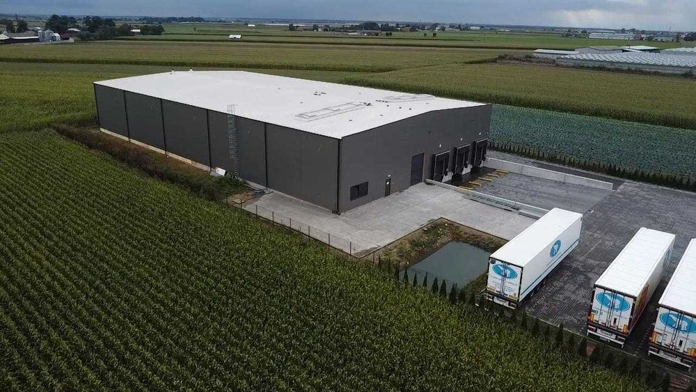 Hala magazynowa/powierzchnie magazynowe do wynajęcia 4500m2,ok.Kalisza