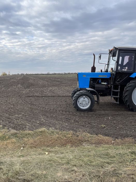 Оранка, культивація