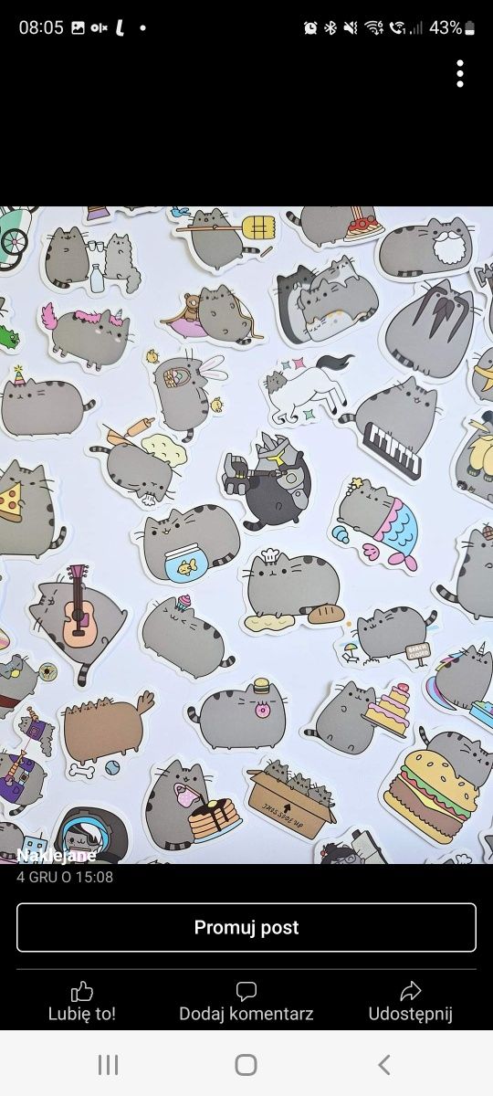 Naklejki z kotkiem Pusheen zestaw 10 sztuk