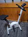 Rowerek stacjonarny Altrom Sport