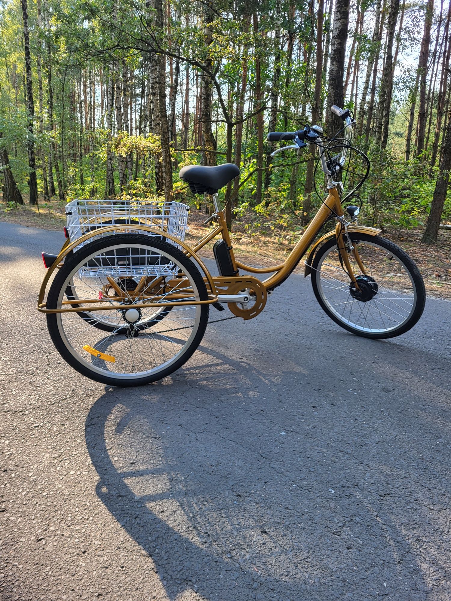 Nowy Elektryczny Rower Trójkołowy