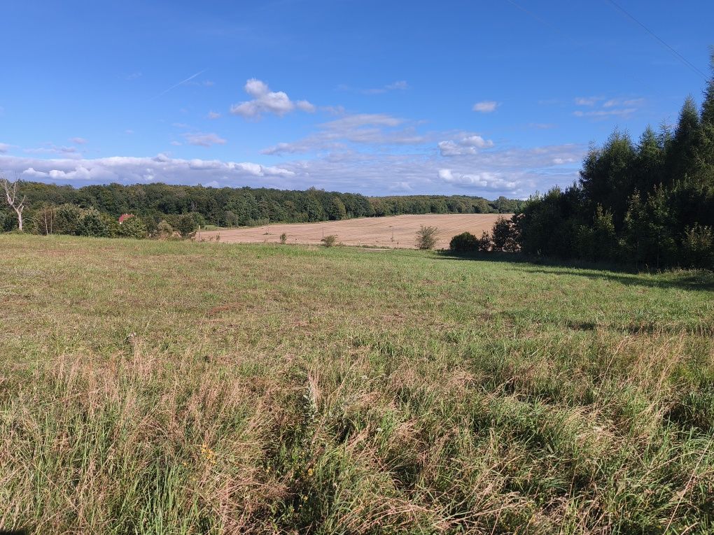 Piękne działki w okolicy jeziora Narie. Cisza natura. Super inwestycja