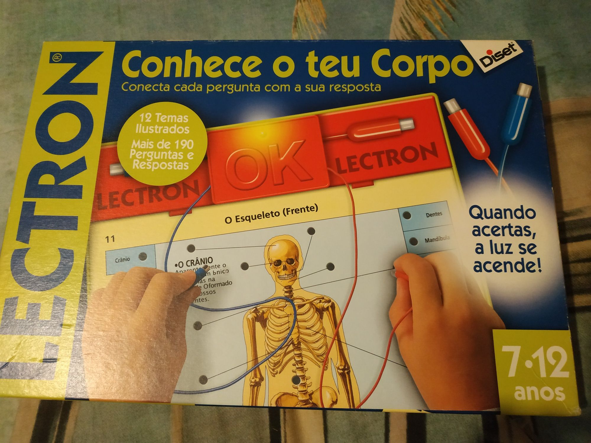 Jogo Electron Conhece o teu corpo