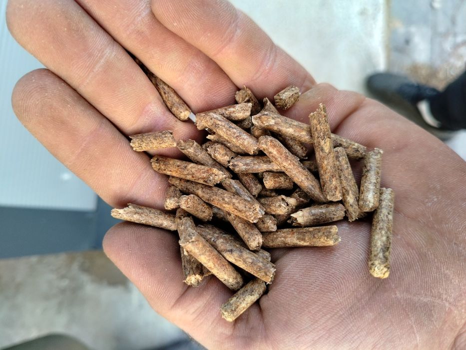 Pellet Polski Mieszany