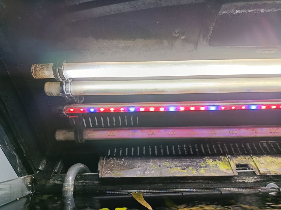 Akwarium 112l,rybki,rosliny