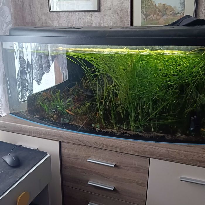 Akwarium 240 l. z wyposażeniem + komoda