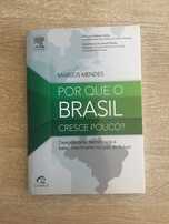 Por que o Brasil Cresce Pouco?