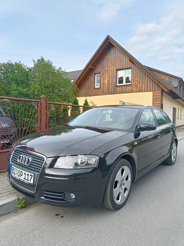 Audi A3 8p 1.9TDI