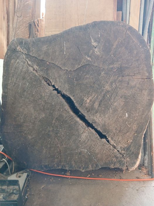 Plaster dębowy sezonowany