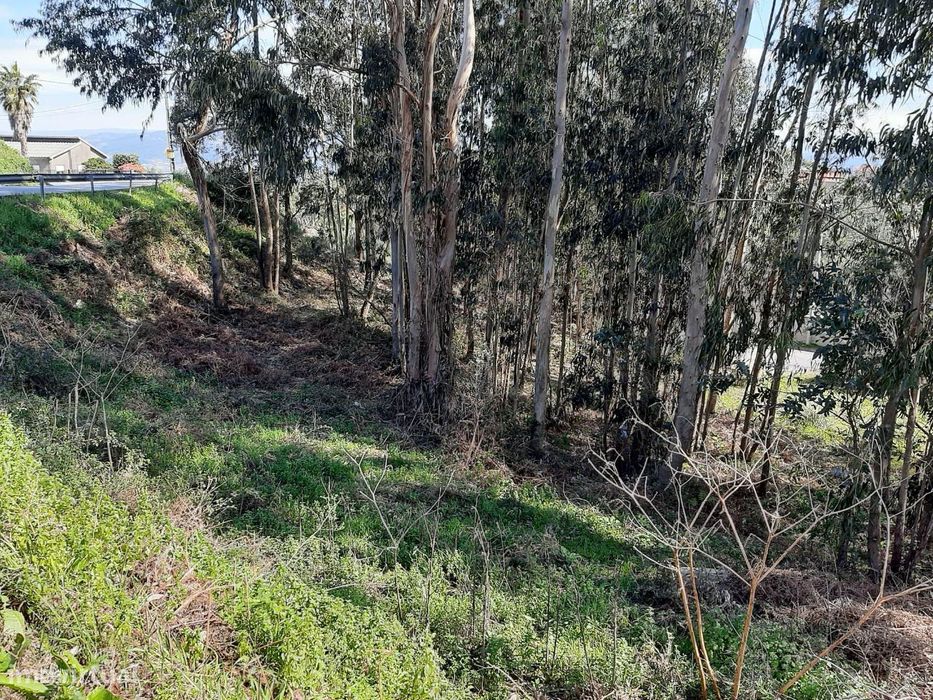 Vende terreno 1.218m2 zona de construção Canelas Penafiel