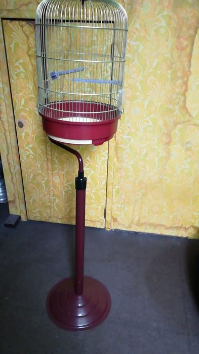 Gaiola com pé, impecável.