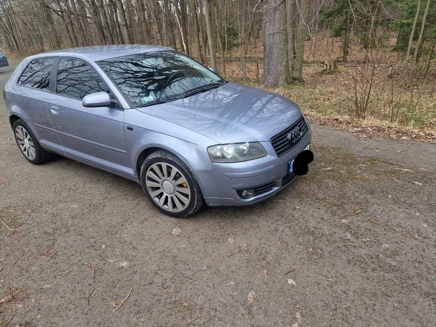 Audi A3 8P 1.9 TDI BKC