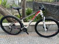 Focus 29 carbono