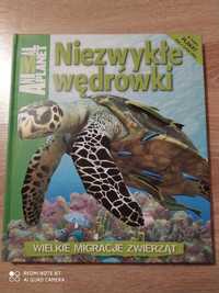 "Niezwykłe wędrówki - Wielkie Migracje Zwierząt"