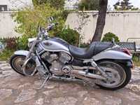 Harley Davidson T-Rod