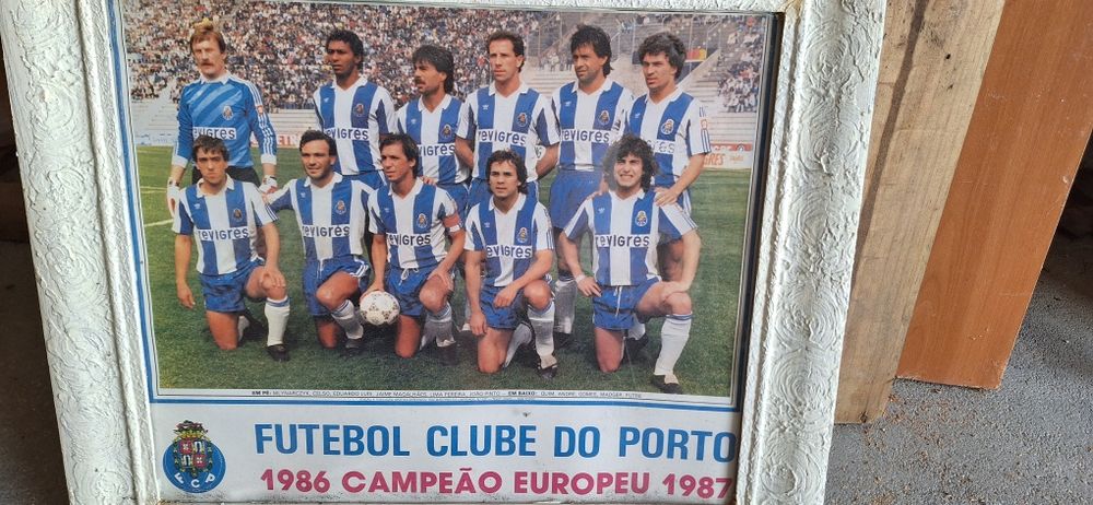 Quadros F.C.P coleção