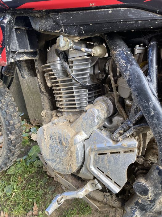 Кові Адванс 250 2024