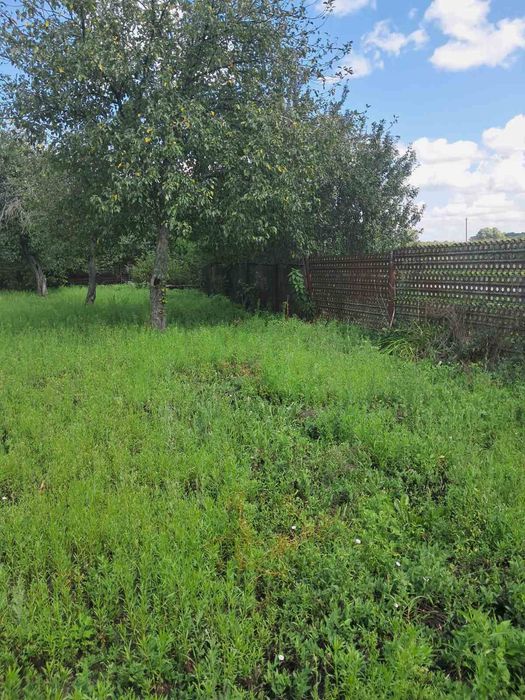 Будинок на околиці села зі зручностями