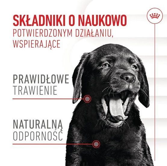 Przysmak z witaminą C i E dla szczeniąt od 6 miesiąca Royal Canin 100g