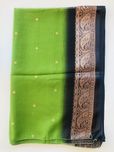 Sari de Seda Verde Vivo com Rebordo Preto e Dourado - Novo!