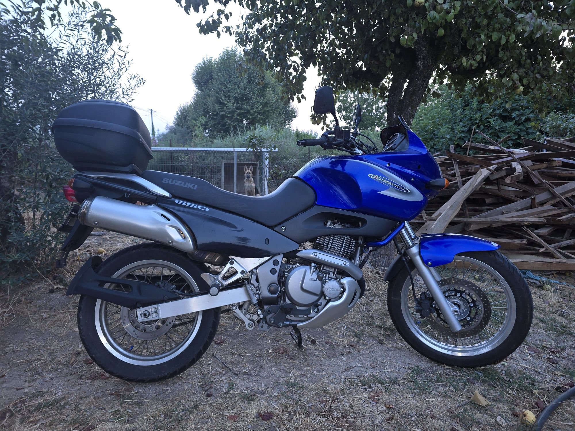 Mota suzuky freewind 650