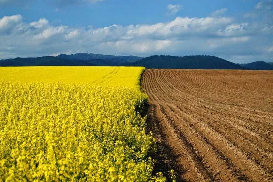 участок  .пай  рилля . херсонская обл