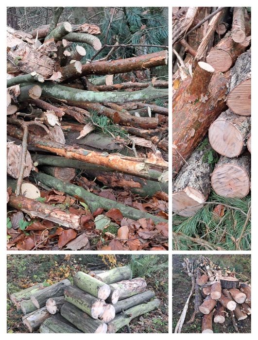 Drewno opałowe mieszane